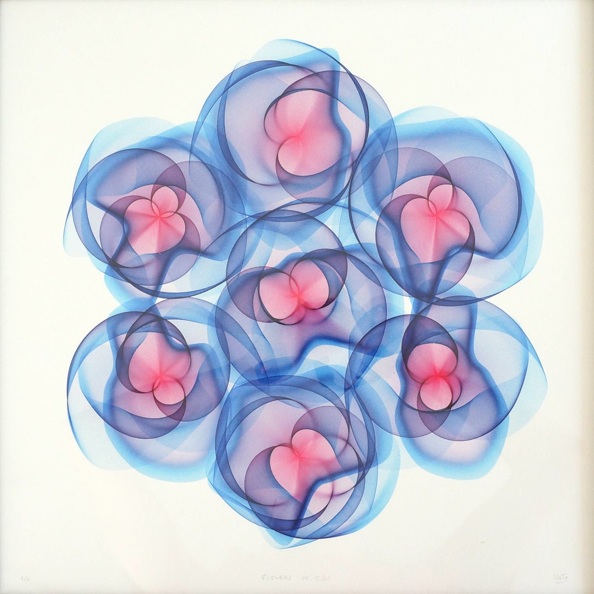 Flowers #12 - Unique Signed Print